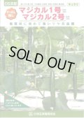 送料無料　[キュウリ]　マジカル2号　350粒　ＯＳ交配
