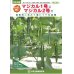 画像1: [キュウリ]　送料無料！　マジカル2号　350粒　ＯＳ交配 (1)