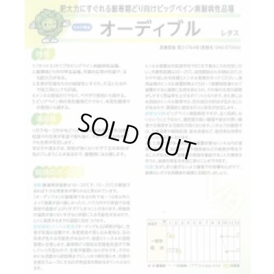 画像3: [レタス]　オーディブル　　ペレット種子　5000粒　（株）サカタのタネ