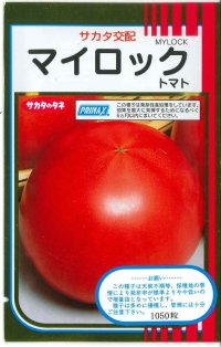 [トマト]　送料無料！　マイロック　1000粒　サカタのタネ（株）