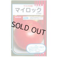 送料無料 [トマト] マイロック 1000粒 (株)サカタのタネ