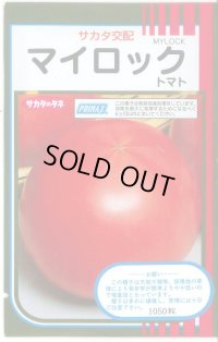 送料無料 [トマト] マイロック 1000粒 (株)サカタのタネ