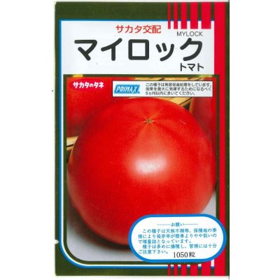 画像1: 送料無料　[トマト]　マイロック　1000粒　(株)サカタのタネ