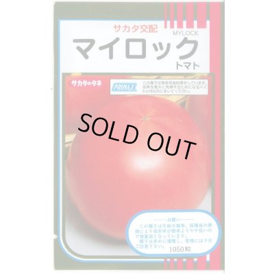 画像1: 送料無料 [トマト] マイロック 1000粒 (株)サカタのタネ