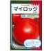 画像1: 送料無料　[トマト]　マイロック　1000粒　(株)サカタのタネ (1)