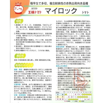 画像2: 送料無料　[トマト]　マイロック　1000粒　(株)サカタのタネ