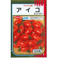 [トマト/ミニトマト]　送料無料！　アイコ　1000粒　サカタ交配　