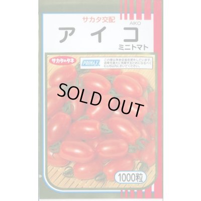 画像1: 送料無料 [トマト/ミニトマト] アイコ 1000粒 (株)サカタのタネ