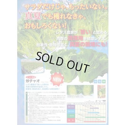 画像3: [レタス] 炒チャオ (ちゃおちゃお)ペレット種子 5000粒 ナント種苗(株)