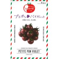 [トマト/マウロの地中海トマト]　送料無料！　プチポンバイオレット　1000粒　　パイオニアエコサイエ ンス　