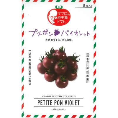 画像1: [トマト/マウロの地中海トマト]　送料無料！　プチポンバイオレット　1000粒　　パイオニアエコサイエ ンス　