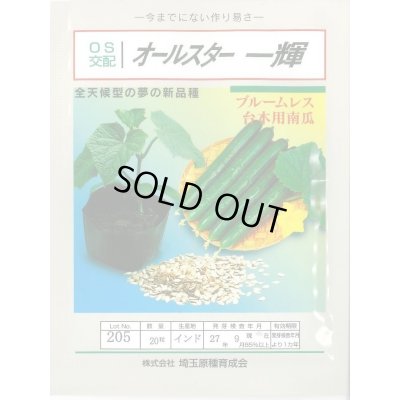 画像1: [台木/キュウリ用] オールスター一輝 20粒 （株）埼玉原種育成会