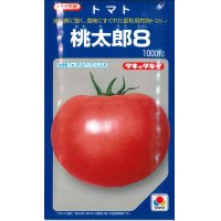 [トマト/桃太郎系]　送料無料！　送料無料！　桃太郎８　1000粒 貴種（コートしてません）　タキイ種苗（株）