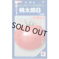送料無料　[トマト/桃太郎系]　桃太郎8　1000粒　貴種(コートしてません)　タキイ種苗(株)