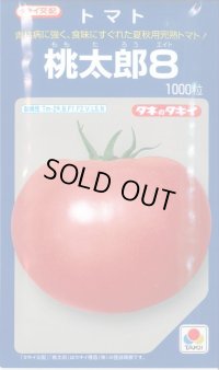 送料無料　[トマト/桃太郎系]　桃太郎8　1000粒　貴種(コートしてません)　タキイ種苗(株)