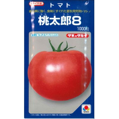 画像1: [トマト/桃太郎系]　送料無料！　送料無料！　桃太郎８　1000粒 貴種（コートしてません）　タキイ種苗（株）