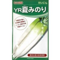 [大根] ＹＲ夏みのり 3Lペレット種子5000粒 カネコ種苗（株）