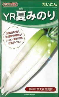 [大根] ＹＲ夏みのり 3Lペレット種子5000粒 カネコ種苗（株）