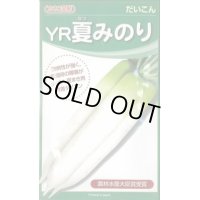 [大根]　ＹＲ夏みのり　3Lコート5000粒　カネコ交配