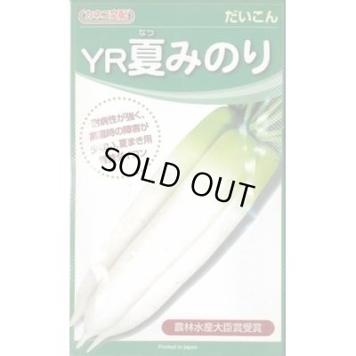 画像1: [大根]　ＹＲ夏みのり　3Lコート5000粒　カネコ交配