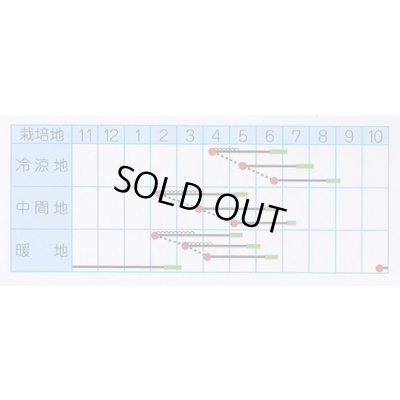 画像2: 送料無料　[大根]　味職人　10ml　(株)タカヤマシード