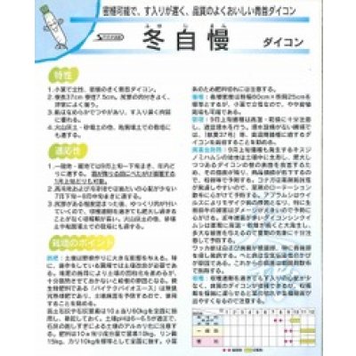 画像3: 大根 冬自慢 ペレット種子5000粒 (株)サカタのタネ