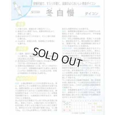 画像4: 送料無料　大根　冬自慢　20ml　(株)サカタのタネ