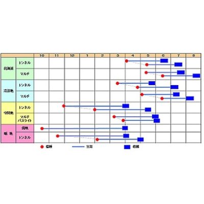 画像3: 送料無料　[大根]　春岬　180粒　渡辺農事（株）