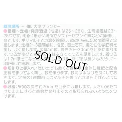 画像2: 送料無料　[キュウリ]　ずーっととれる　40粒　(株)サカタのタネ　実咲PRO