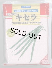 送料無料　[いんげん]　ベストクロップキセラ　2000粒　雪印種苗