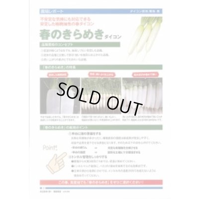 画像2: 送料無料　[大根]　春のきらめき　130粒　渡辺農事（株）