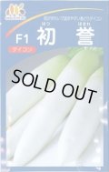 大根　初誉　5000粒　ペレット種子　ヴィルモランみかど