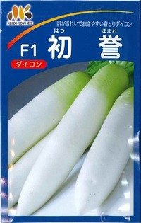 送料無料　大根　初誉　500粒　ヴィルモランみかど（株）
