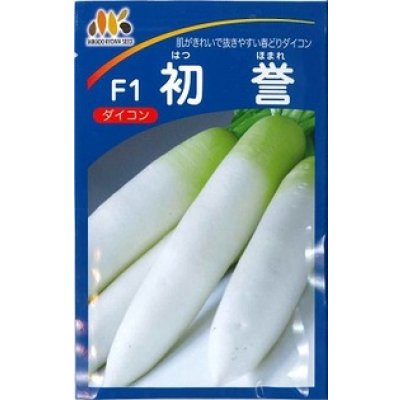 画像1: 大根　初誉　5000粒　ペレット種子　ヴィルモランみかど（株）