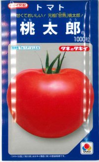 [トマト/桃太郎系]　桃太郎　1000粒 貴種（コートしてません）　タキイ種苗