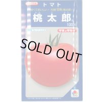 送料無料　[トマト/桃太郎系]　桃太郎　1000粒　貴種(コートしてません)　タキイ種苗