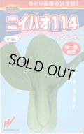 送料無料　[中国野菜]　ニイハオ114　750粒　渡辺農事
