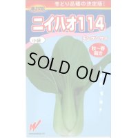 [中国野菜]　ニイハオ114　750粒　渡辺農事