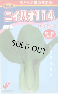 [中国野菜]　ニイハオ114　750粒　渡辺農事