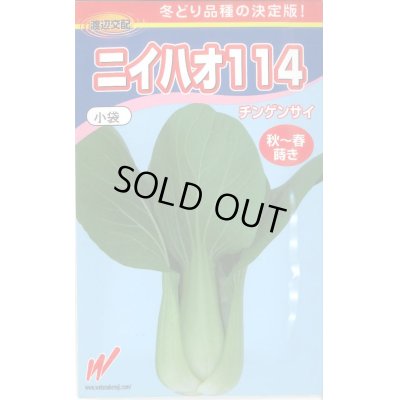 画像1: [中国野菜]　ニイハオ114　750粒　渡辺農事