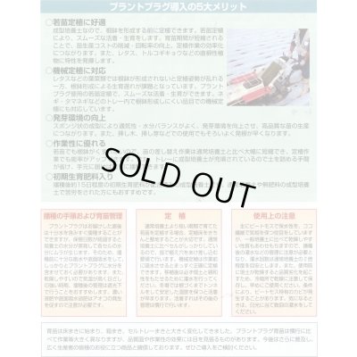 画像4: 接木・生産資材　プラントプラグ　406穴　Jiffy