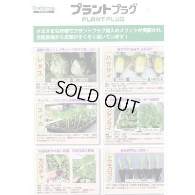 画像5: 接木・生産資材　プラントプラグ　406穴　Jiffy