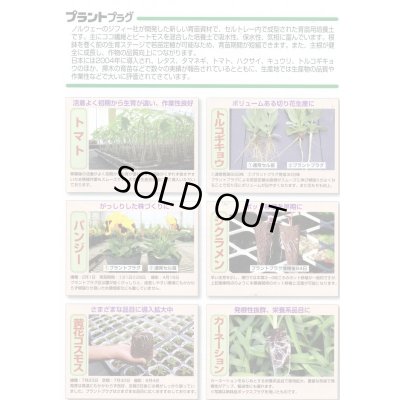 画像6: 接木・生産資材　プラントプラグ　406穴　Jiffy