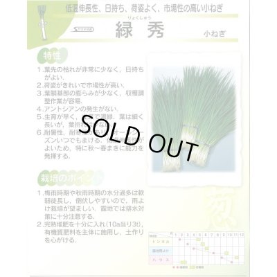 画像4: 送料無料 [ねぎ] 緑秀 (小ねぎ) 1L （株）サカタのタネ