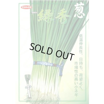 画像3: 送料無料 [ねぎ] 緑秀 (小ねぎ) 1L （株）サカタのタネ