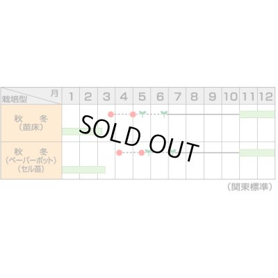 画像5: 送料無料　[ねぎ]　冬扇3号　1dl　(裸種子)　(株)サカタのタネ