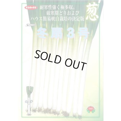 画像2: 送料無料　[ねぎ]　冬扇3号　ペレット種子　6000粒　(株)サカタのタネ