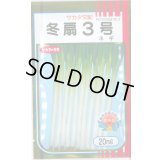 送料無料　[ねぎ]　冬扇3号　20ml　(裸種子)　(株)サカタのタネ