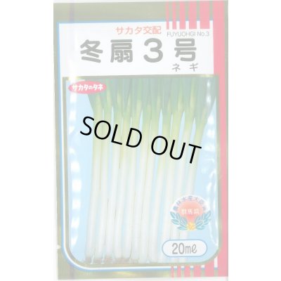 画像1: 送料無料　[ねぎ]　冬扇3号　20ml　(裸種子)　(株)サカタのタネ