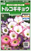送料無料　花の種　トルコギキョウバイカラー　ミックス　約45粒　　(株)サカタのタネ　実咲250（026260）